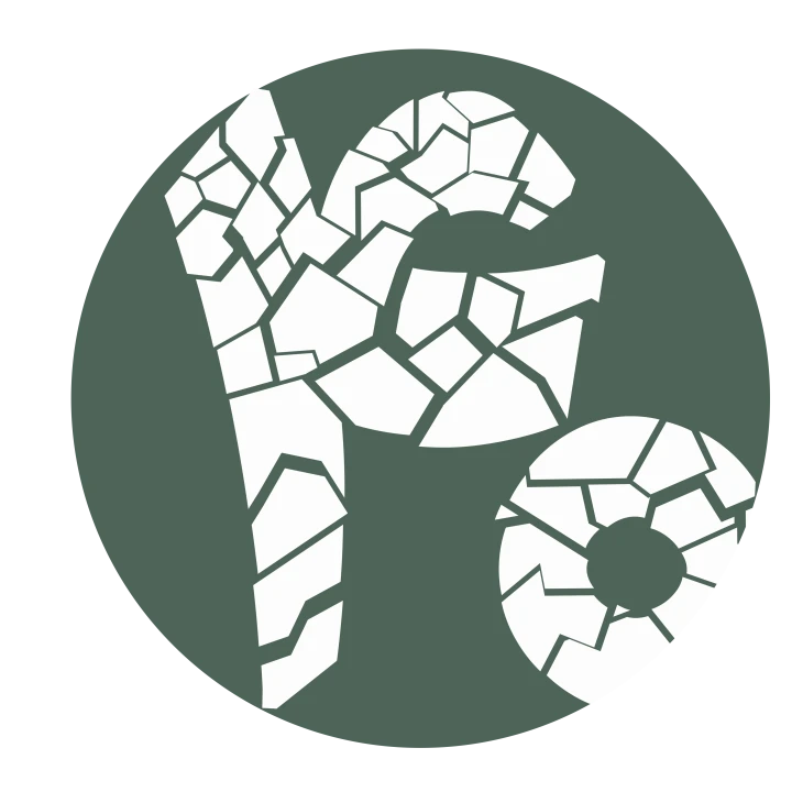 دوره تابستانه چهل تیکه